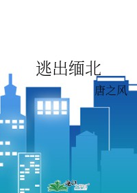 男子9小时逃出缅北