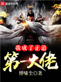 《我成了正道第一大佬》
