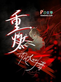 重燃2001小说